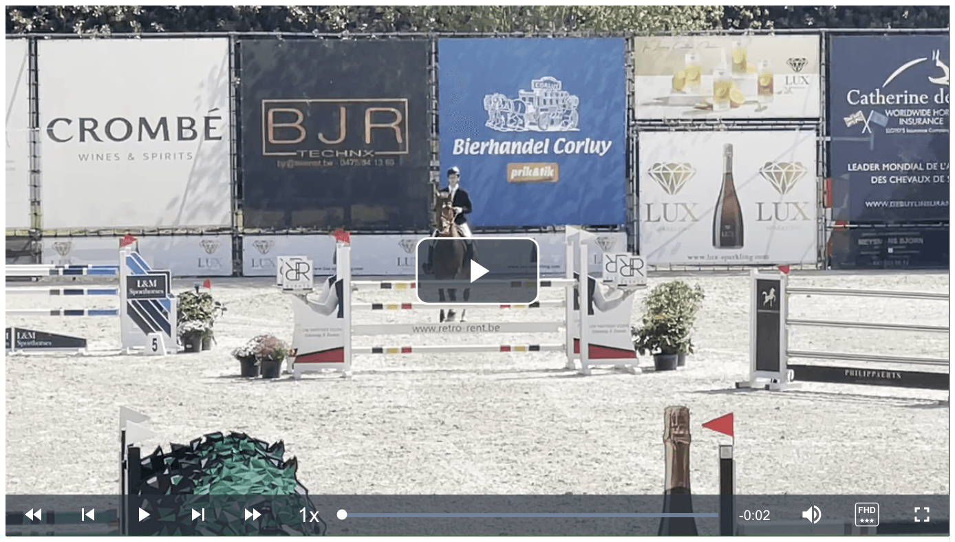 Video player with frame-by-frame controls