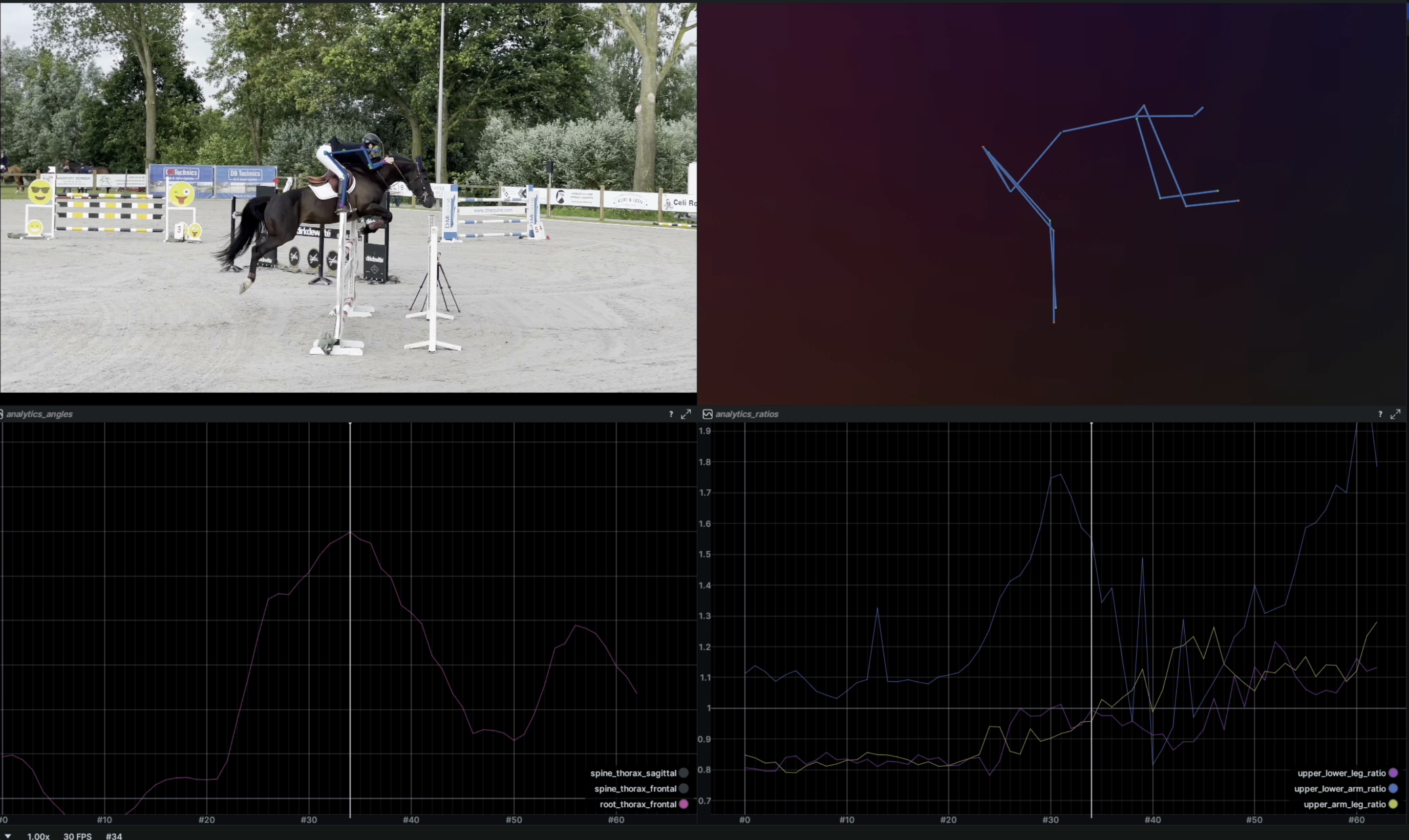 How Video Analysis Is Transforming Show Jumping Training